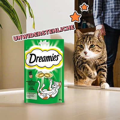 DREAMIES™ Katzenminze ausprobieren
